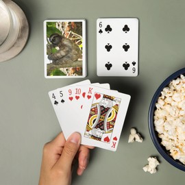 Sloth in Tree (52 Playing Cards, Poker Size Card Deck with Jokers)