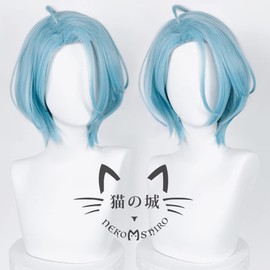 HiMERU Cat Castle Cosplay Wig, Ensemble Stars! Heat Resistant Wig, Anime Costume, Costume Accessory, Parties, Events, Masquerade Costume, Wig Net Included