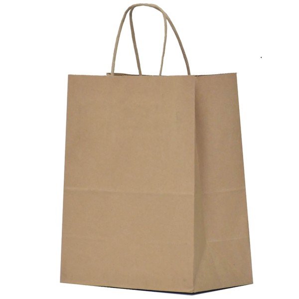 Qutuus 10x5x13 Kraft Paper Bags 100 Pcs Kraft Shopping Bags, Gift Bags, Retail Bags, Recycled Bulk, Brown Paper Bags with Handles Bulk