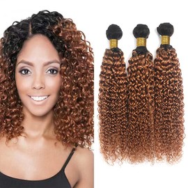 Niciitysi Color 1B30 Kinkycurly Bundles Human Hair 14 16 18 inch Ombre Two Tone Black and Brown Curly Wave Bundles Double Weft Brazilian Hair Extensions Soft and Silky Light Brown Color