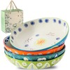 CINAIMPRESSION 9Inch Pasta Bowls Set of 4, HandPainted Ceramic, Mix