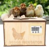 9 Egg Incubator Smart Pine Wood Efficient Thermostat Water Bed