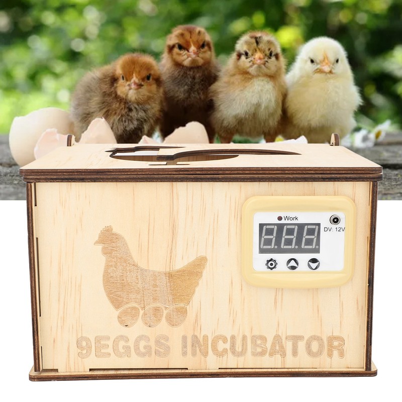 9 Egg Incubator Smart Pine Wood Efficient Thermostat Water Bed