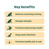 DogSuppy Itch Relief For Dogs – Relieves Itching, Scratching, Licking,