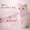 Canrio Cat Collar, Scrunchie, Simple, Mini Dot, Red, MS Size,