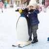 Toddler Ice Skates, Adjustable Infant Kids Ice Skates Double Runner
