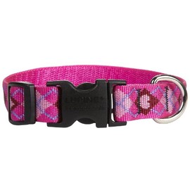 LupinePet Originals 3/4" Puppy Love 9-14" Adjustable Collar for Small Dogs
