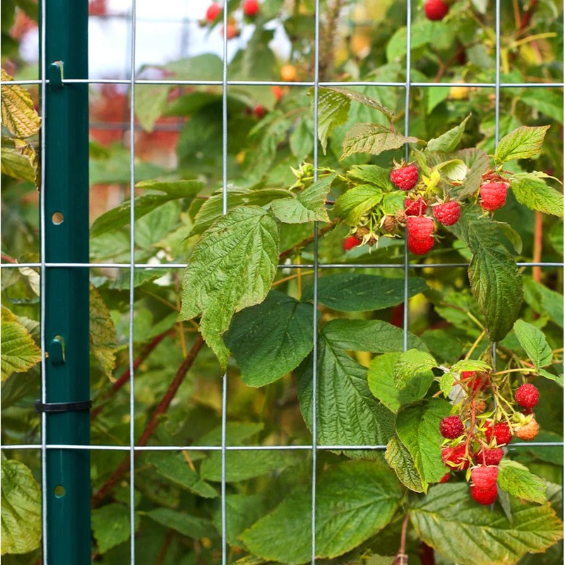 VASGOR 6 Feet Sturdy Duty Metal Fence Post – Garden