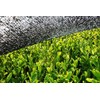 bioKontor - Organic Matcha Powder 200 g - Matcha Tea