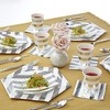 Silver Spoons Disposable Dinnerware Set Stripe Collection, 18 Servings, White/Silver