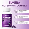 Elderberry - EIvera Gut Support Complex, 3-in-1 Gut Support Complex