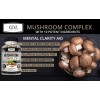 10x Mushroom Complex Supplement, Lions Mane, Reishi, Shiitake, Immune Capsule