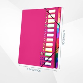 Delamiya Document Folder A4, Portable Expanding Folder with 12 Compartments, PP Plastic Organiser Folder with Elastic Band, Waterproof, for School Office Supplies