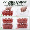 Qinyoung 100 Pack Berry Containers 1 Pound Plastic Fruit Containers