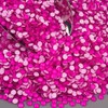 Blinginbox Flatback Rhinestones Round Gems, 1440pcs Luminous Series Glass Stones