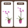 10Pcs Plant Support Stakes with 15 Pcs Plant Clips, Plant