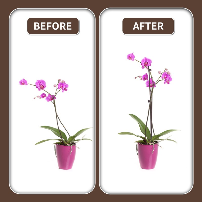 10Pcs Plant Support Stakes with 15 Pcs Plant Clips, Plant