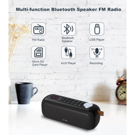 Portable Bluetooth Speaker FM Radio Digital, Support USB/SD Card MP3 Music Player/AUX/REC, Build-in 3000mAh Rechargeable Battery, 10W Powerful Speaker and Earphone Jack for Indoor Outdoor