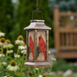 Topadorn Hanging Solar Lantern Waterproof Portable Lamp Outdoor Garden Decorative LED Light, Red Bird,10" H