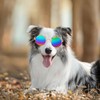 Colorful Cat Dog Sunglasses Round Metal Funny Pet Glasses Puppy