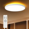ocioc 18inch Flush Mount Ceiling Light Fixture with Remote Control,