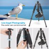 Koolehaoda Portable Camera Tripod Travel Mini Tripod Tabletop Tripod for