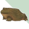 Extra Large 460mm 'African Bullfrog' Permanent Sticker Decal for Cars/Windows/Bins/Walls