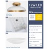 kudos White and Gold Ceiling Light Fixture 2 Pack, LED