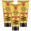 Elastine Argan Oil Damage Hair Treatment, 300ml, 3 pieces / 엘라스틴 아르간오일 데미지 헤어트리트먼트, 300ml, 3개
