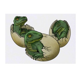 'Hatching Dinosaurs' Temporary Tattoo - Water Resistant, Skin-Safe, Non-Toxic Transfer (TO00039316)