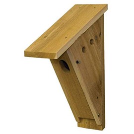 Stovall 3H Wood Peterson Bluebird House