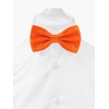 Axy FLI1 Men’s Bow Tie, Ready-Tied for a Confirmation, Adjustable,