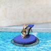 2 Pcs Animal Saving Escape Ramp for Swimming Pool, Inflatable