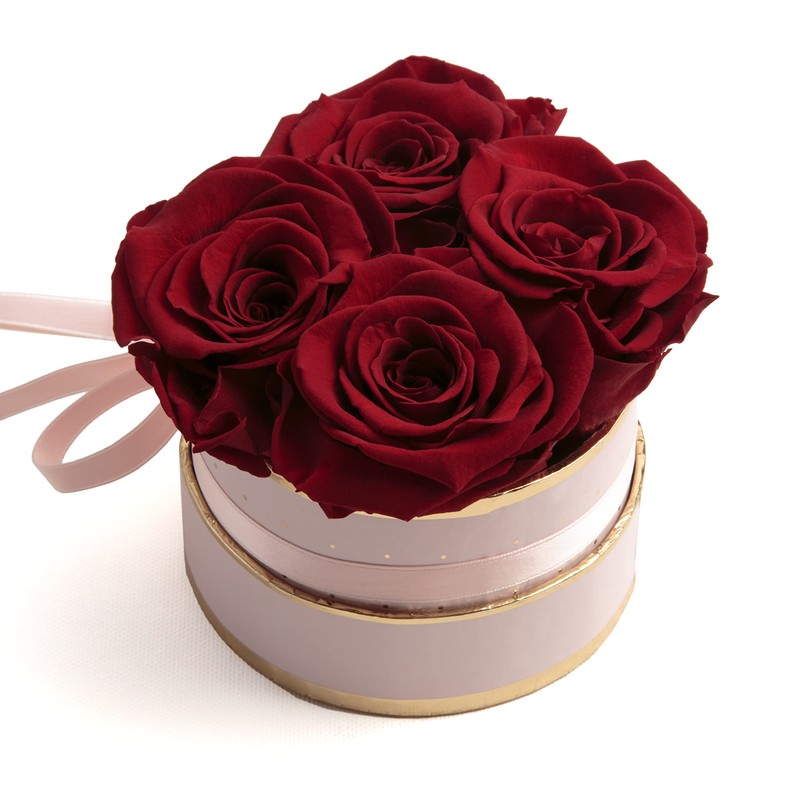 Rosmarie Schulz Heidelberg Rose Box, White Round Infinity Rose, Flower
