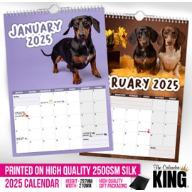 The Calendar King // Cheeky Dachshunds - 2025 Wall Calendar (Full Colour, A4 Size)