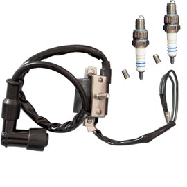 XUHOLOPE 50cc 70cc 90cc 110cc 125cc Ignition Coil for Coolster ATV-3050B 3050B Kids Four Wheeler 4 Quad DB10 Cheetah Taotao Roketa Baja Kazuma Meerkat 50Falcon 90 Apollo DB21 Kids ATV Dirt Pocket Bike
