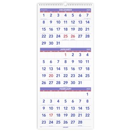 AT-A-GLANCE 2025 Wall Calendar, 12" x 27", Large, Vertical, 3-Month Reference (PM112825)
