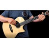 Ortega Guitars ELIMINATOR100 Feedback Eliminator