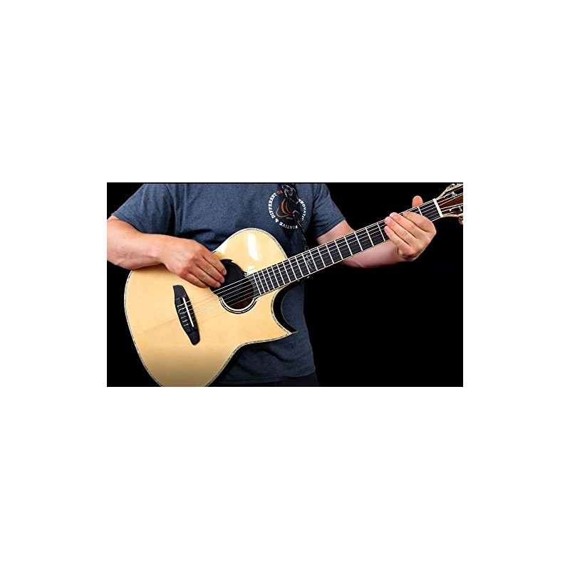 Ortega Guitars ELIMINATOR100 Feedback Eliminator