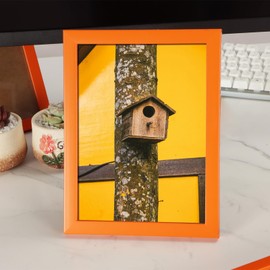 marysgift Picture Frames with Acrylic Plate for Home Décor Office Decoartion Photo Frames Orange 6" x 4" (15.3 x 10.3cm)