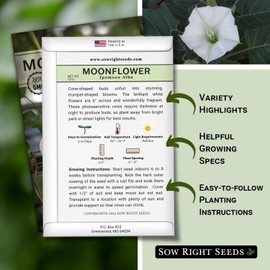 Sow Right Seeds - Moonflower (Ipomoea alba) Flower Seeds for Planting - Beautiful Flowers to Plant in Your Home Garden - Non-GMO Heirloom Seeds - Tall Annual Great for Cut Flowers - Wonderful Gift (1)