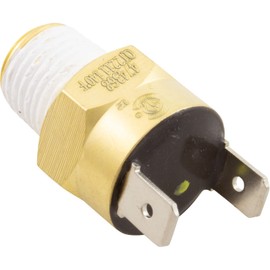 Gas Shutoff Switch, Max-E-Therm/MasterTemp