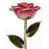 24k Gold Rose - Real Rose Dipped in Gold (2-Tone