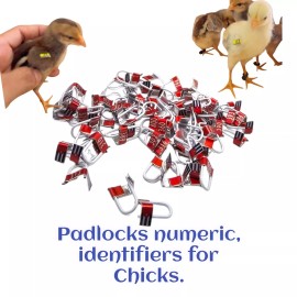 Unbranded Candados Numéricos para Pollitos - Numbered Markers for Chick wings - 100 Uni