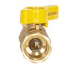 Eastman Straight Gas Brass Ball Valve, 1/2 in FIP x