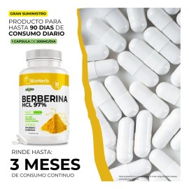 Berberina HCL Al 97% Clorhidrato (90 Cápsulas Para 90 Días) [Potente Formulacion] | Alta Concentracion| Absorcion Potenciada | Maxima Eficacia | Calid