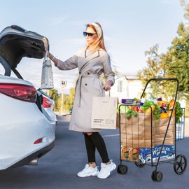 Furniga Folding Shopping Cart, Grocery Cart with Swiveling Wheels & Non-Slip Handle, Rolling Trolley with Double Storage Baskets, Utility Metal Carts for Shopping Laundry Luggage Groceries (Black)