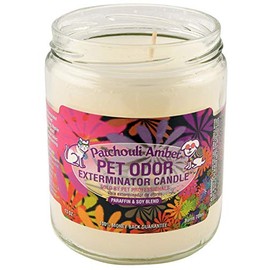 SPECIALTY PET PRODUCTS Amber Patchouli Pet Odor Exterminator 13 Ounce Jar Candle (Amber Patchouli, 1)