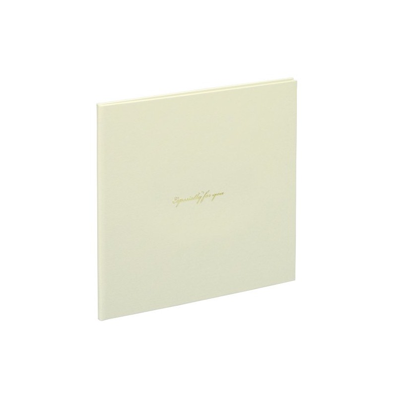 ナカバヤシ Vカットマット写真台紙 2L判2面 スクエアタイプ ホワイト VM2L-301-W