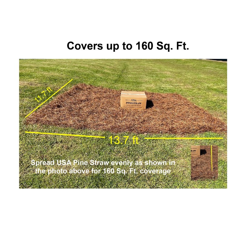 USA Pine Straw - Premium Pine Needle Mulch (Pine Needle